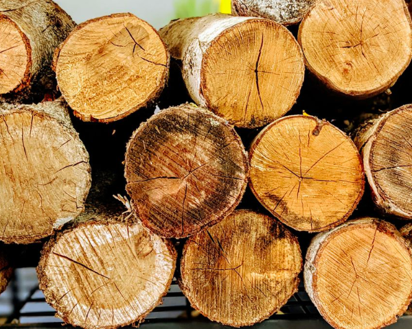 Consigli sui combustibili per bbq-2.png