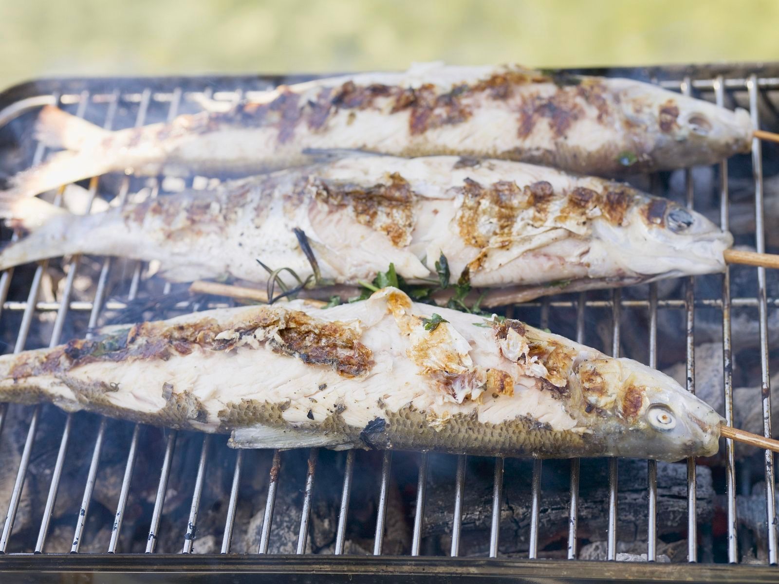 Consigli per cucinare il pesce sul barbecue-2.jpg