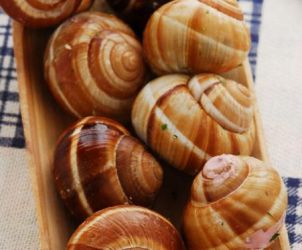 Lumache alla griglia