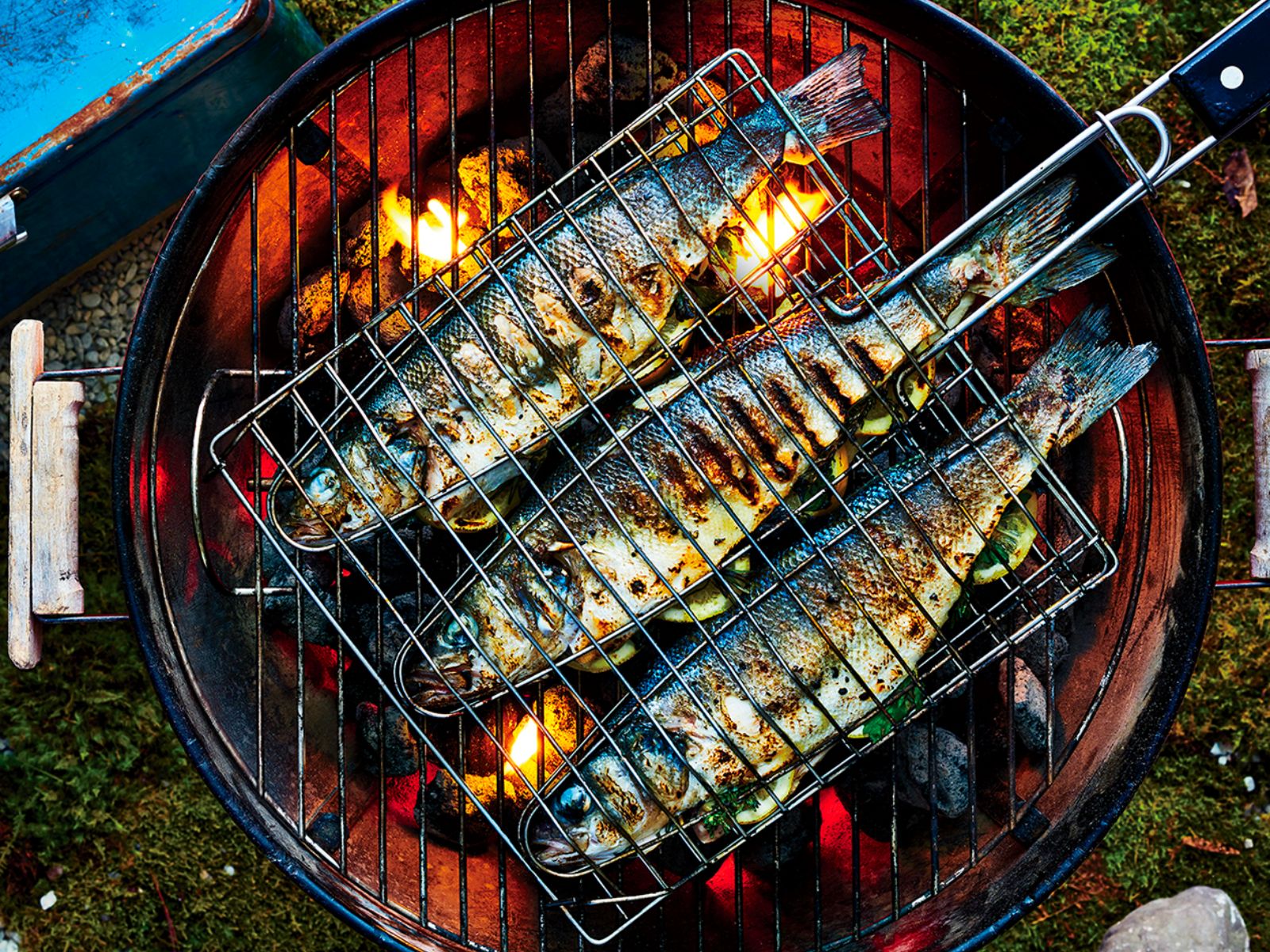 Consigli per cucinare il pesce sul barbecue-1.jpg