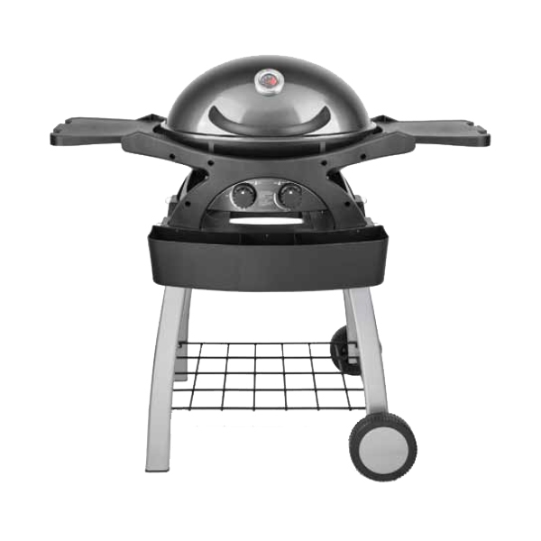 Barbecue Twingrill grigio con carrello